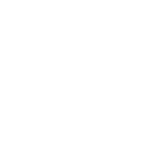 Flight Icon